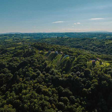 Holiday Home Wine & Relax Sveti Martin Na Muri Gornji Koncovcak المظهر الخارجي الصورة