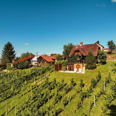 Holiday Home Wine & Relax Sveti Martin Na Muri Gornji Koncovcak المظهر الخارجي الصورة