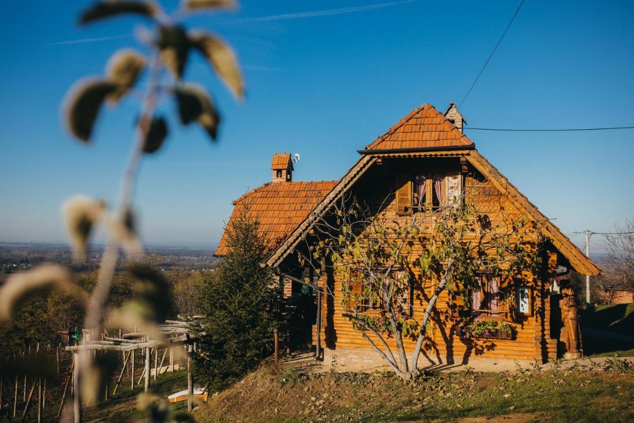 Holiday Home Wine & Relax Sveti Martin Na Muri Gornji Koncovcak المظهر الخارجي الصورة