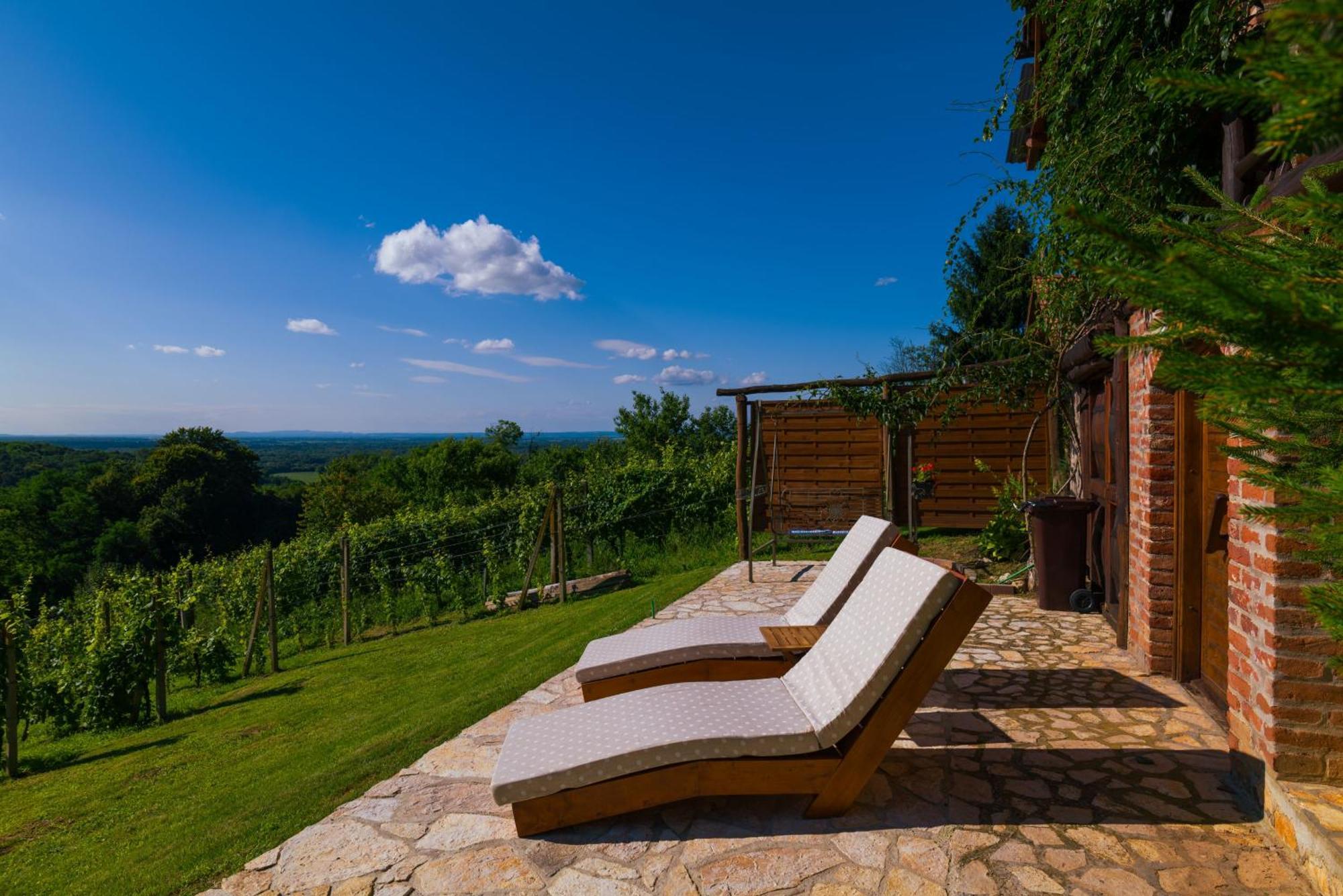 Holiday Home Wine & Relax Sveti Martin Na Muri Gornji Koncovcak المظهر الخارجي الصورة