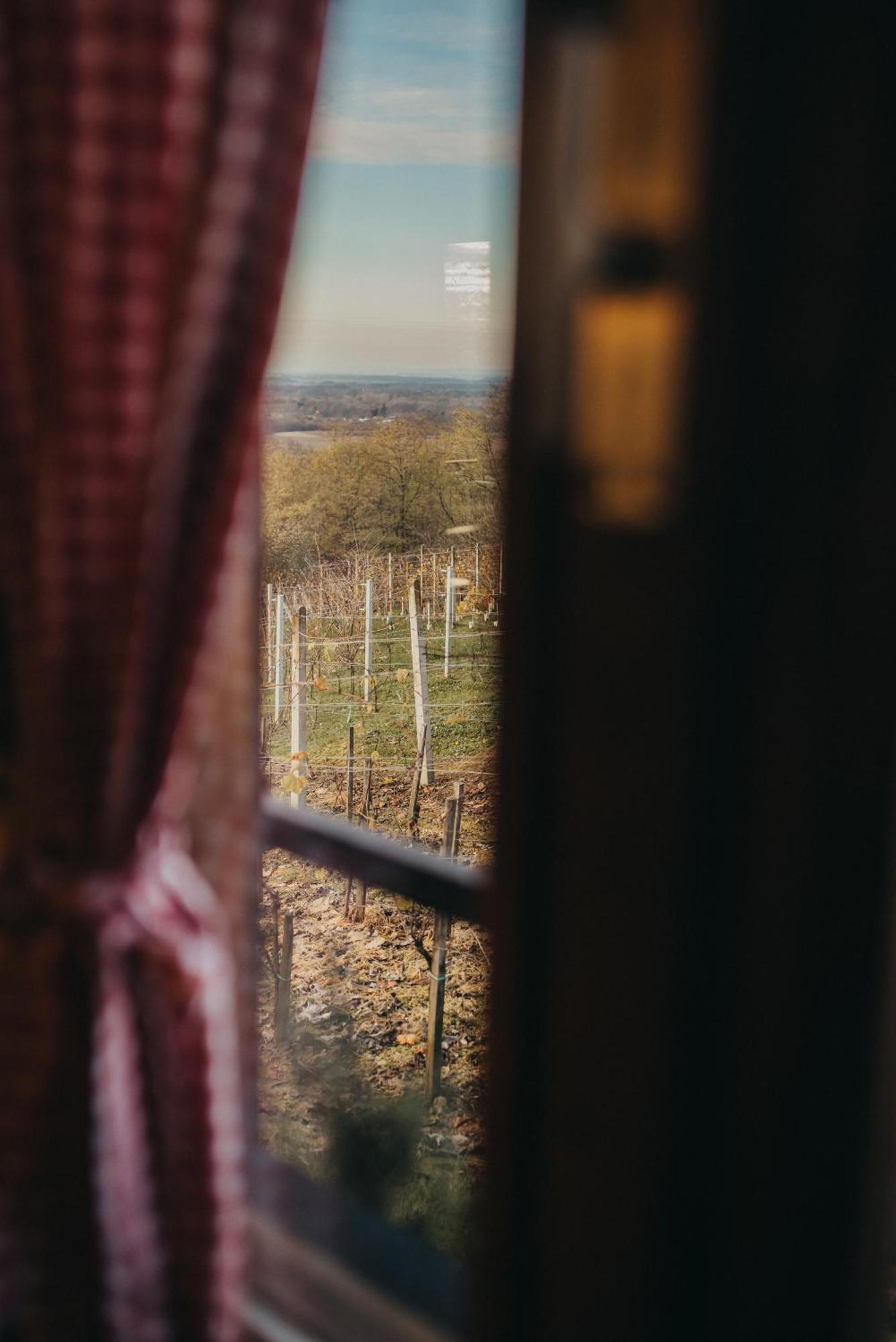 Holiday Home Wine & Relax Sveti Martin Na Muri Gornji Koncovcak المظهر الخارجي الصورة